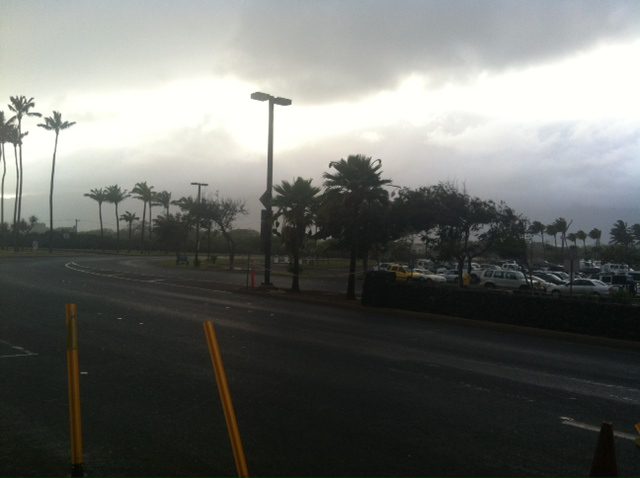 Tropical Rain
