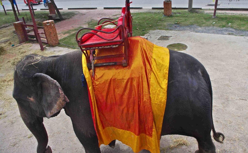 An Ayutthaya tour with a former street walker