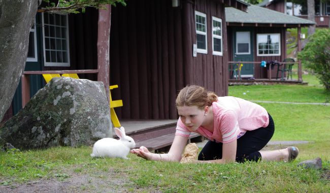 kid feeding bunny