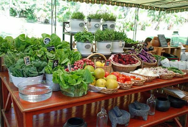 Farmer's market Cabo