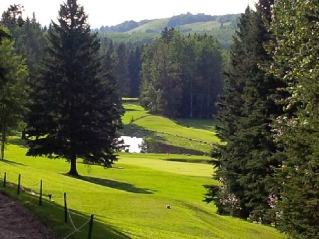  Golf Safari 