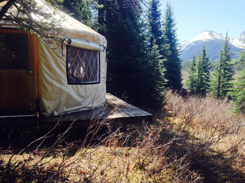 Yurt at Mt Engadine