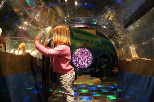 toddler aquarium