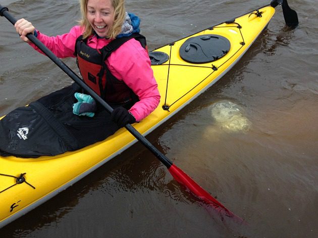 woman with beluga whale