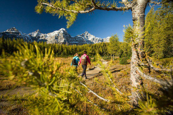 Everything you need to know before hiking Larch Valley