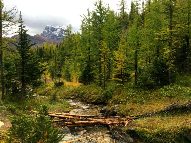 What you need to know before doing the Larch Valley hike