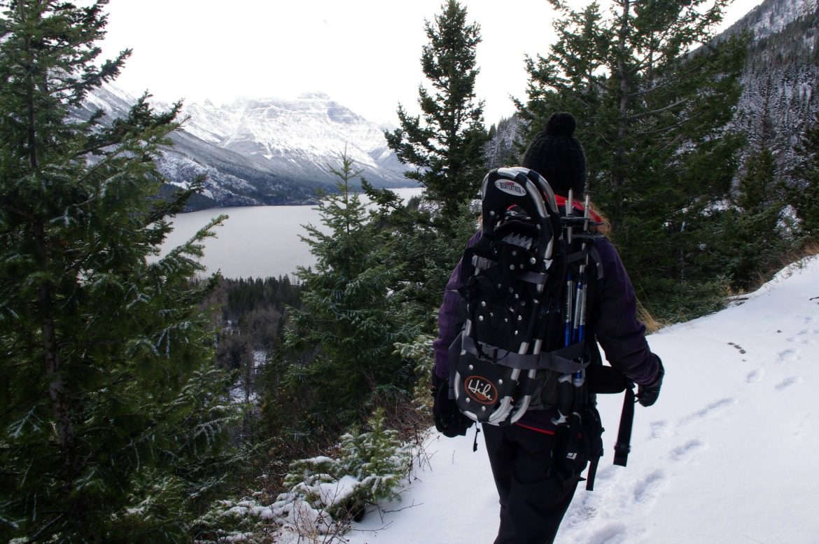 snowshoeing winter waterton national park