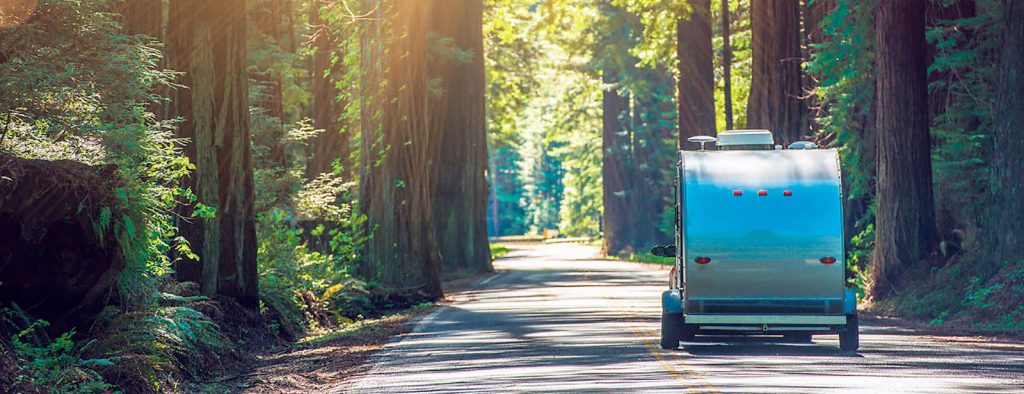 trailer driving through redwood forest