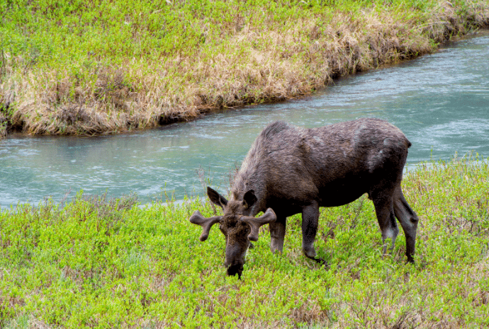 Late to the party: Why my summer is delayed