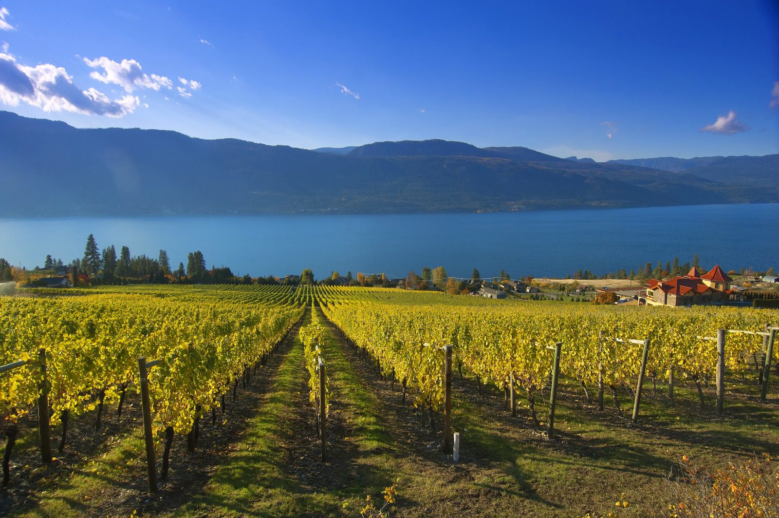 Solved! Lake Okanagan wineries that are worth visiting