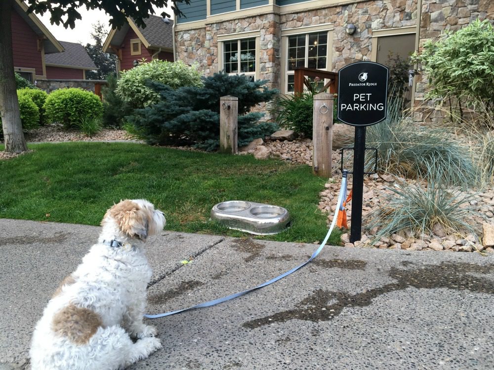 dog parking station