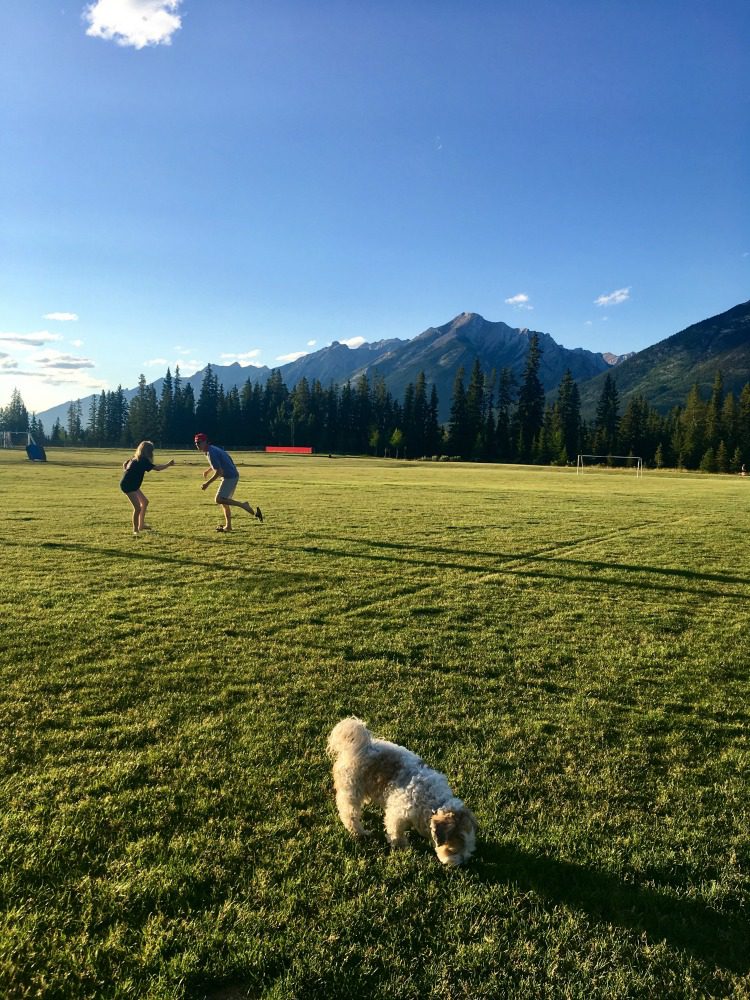 Summer 2017 may be over, but I'm reliving my best bucket list items nailed