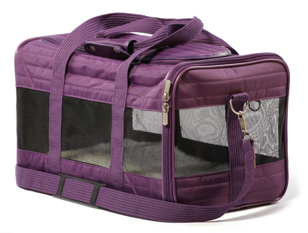The very best products for pet travel
