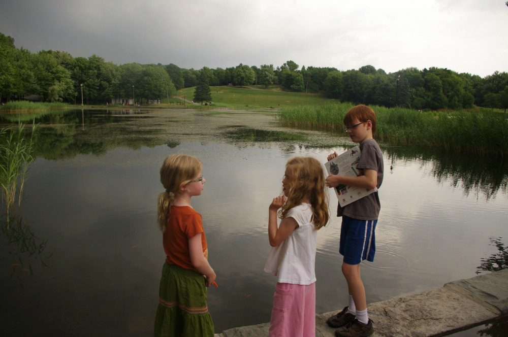mont royal park lake