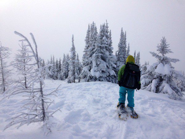 snowshoeing banff