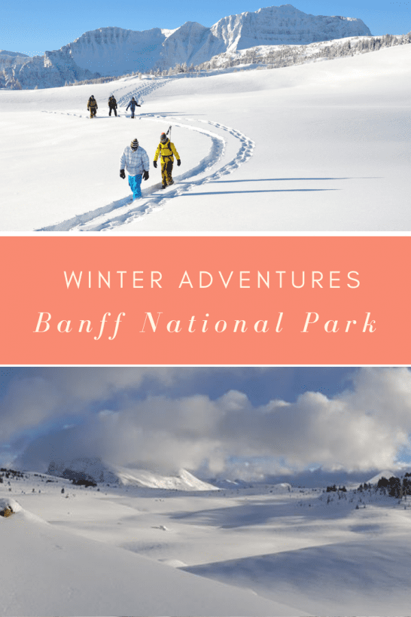 snowshoeing banff national park