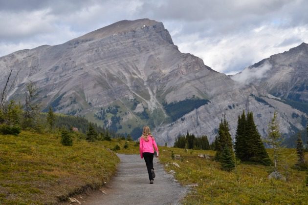 Sunshine Meadows hike: Why it's rated #1 in Canada