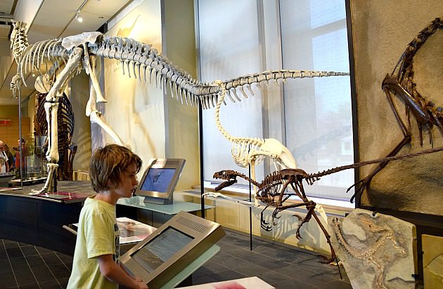 Children's nature museum ottawa