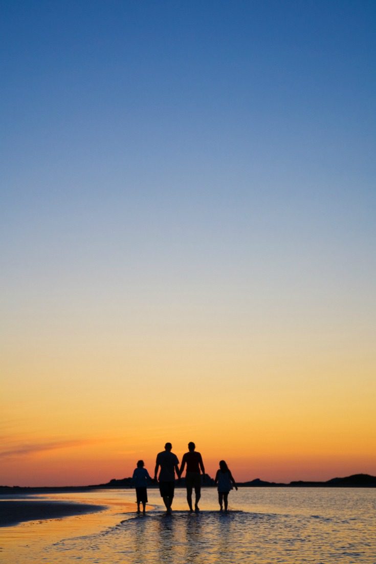 cow head viking trail