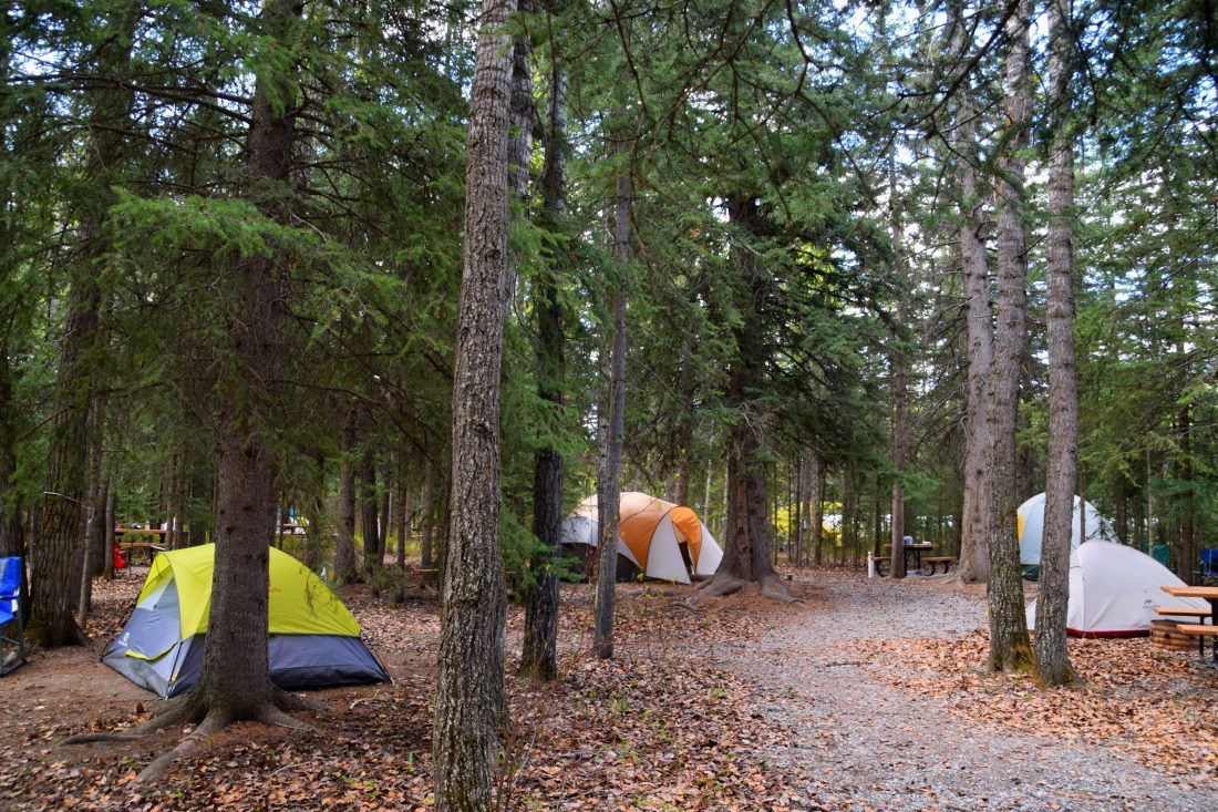 wapiti campsite canmore alberta