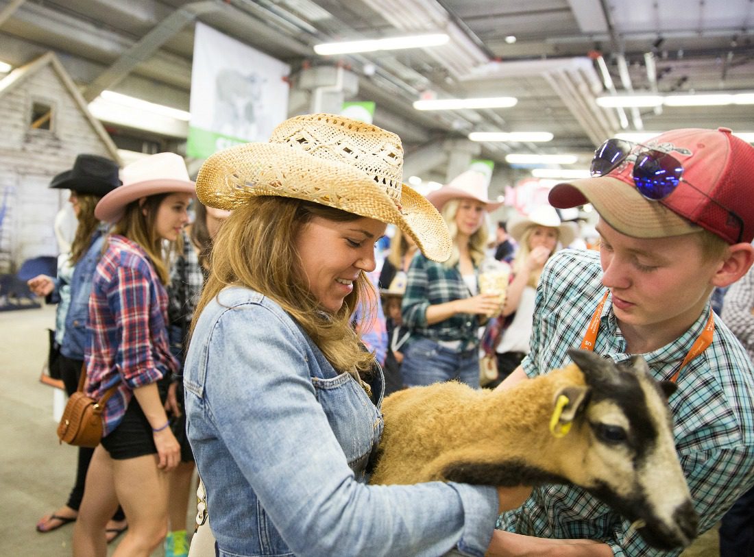 Ag area calgary stampede