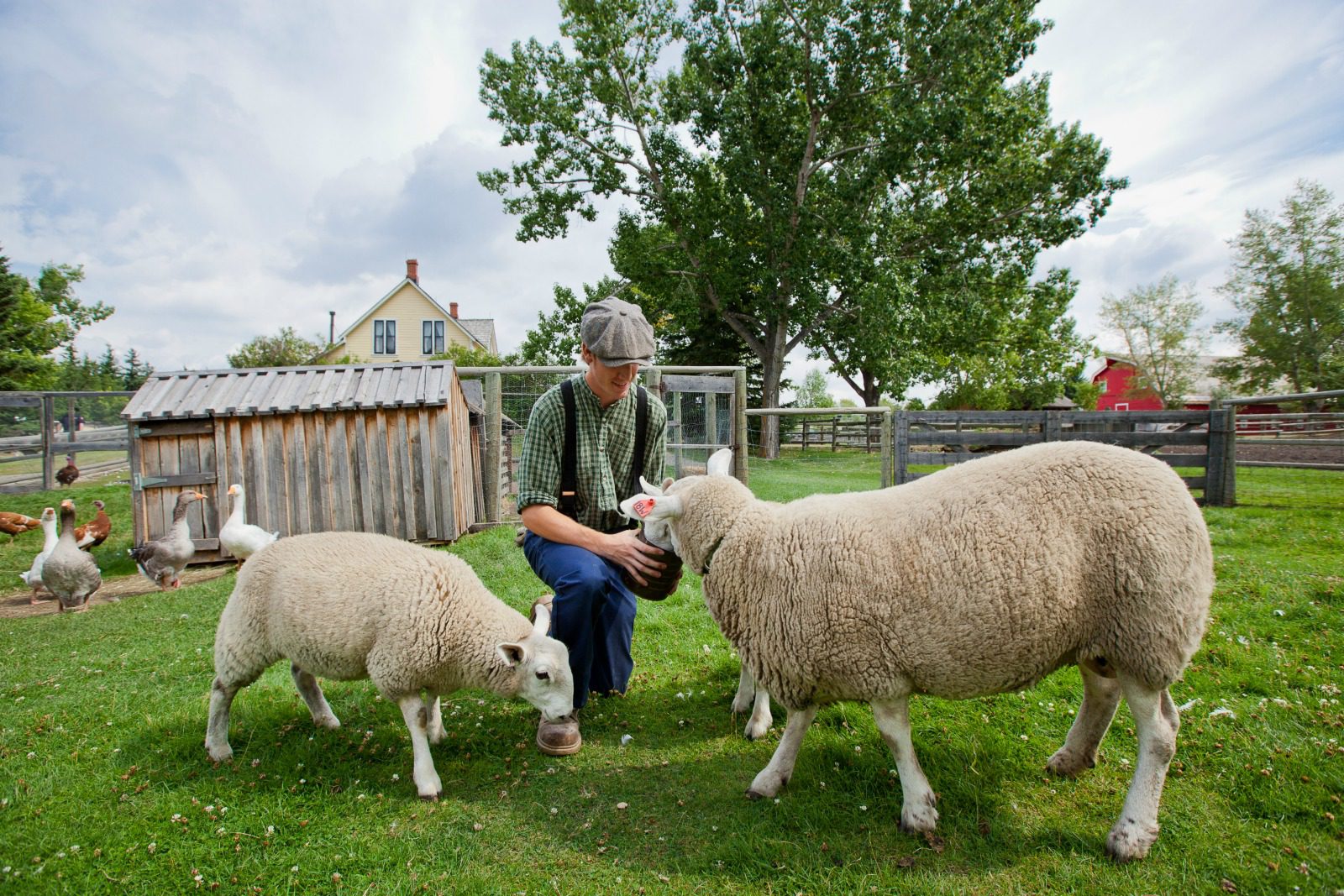 How to snag Calgary coupons for the city's top attractions