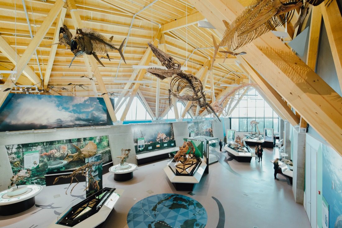 dino museum