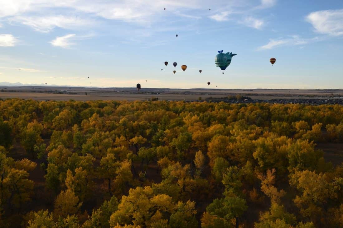 hot air balloons in international balloon festival heritage inn