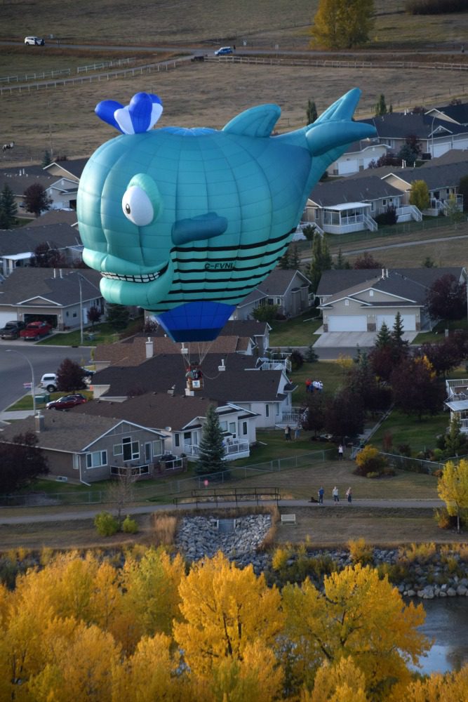 fish balloon heritage inn international balloon festival