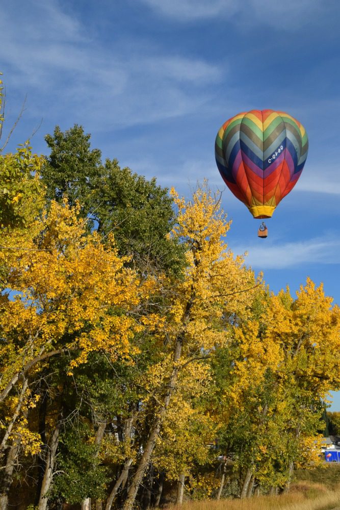 Heritage Inn International Balloon Festival vertical