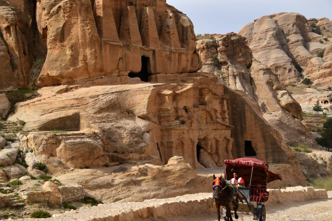 Petra horse and buggy tours