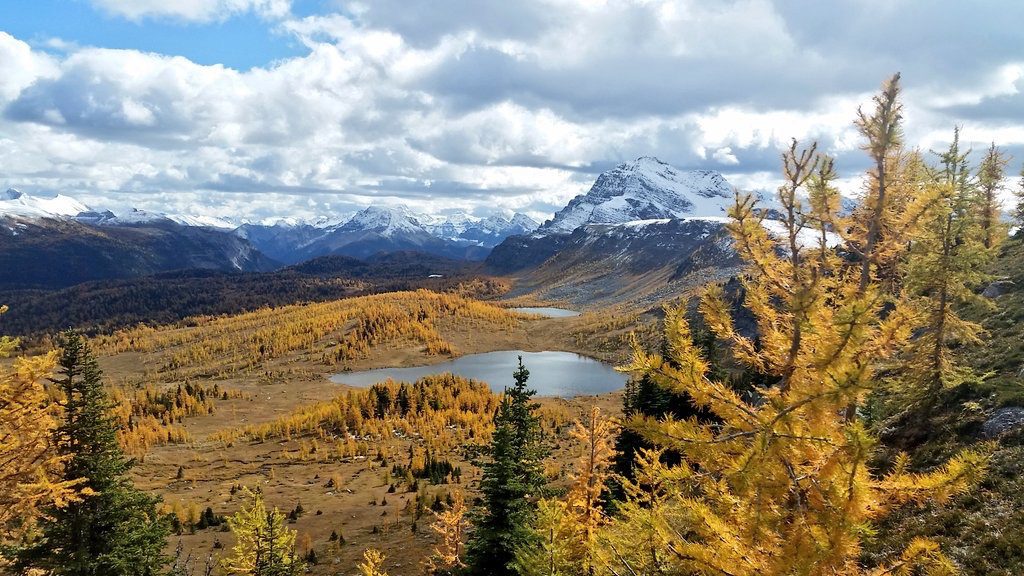 Want a larch hike? This is the best one in Banff