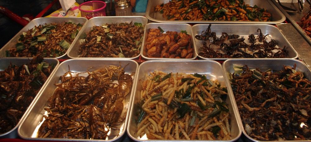 crickets at the night market