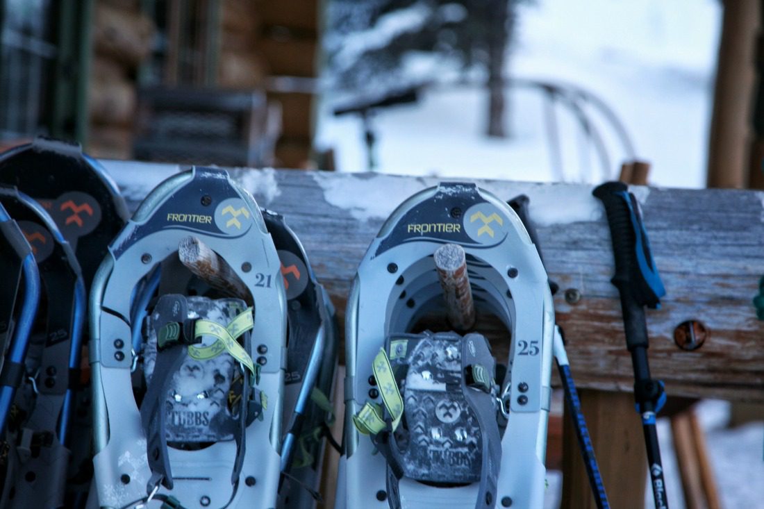 snowshoeing assiniboine provincial park