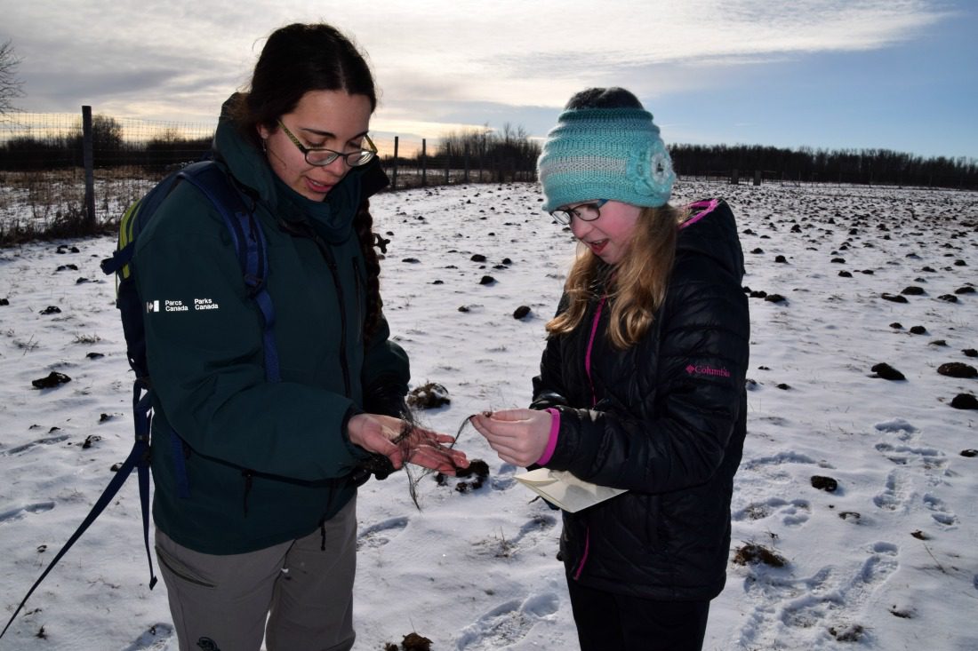 Elk Island National Park