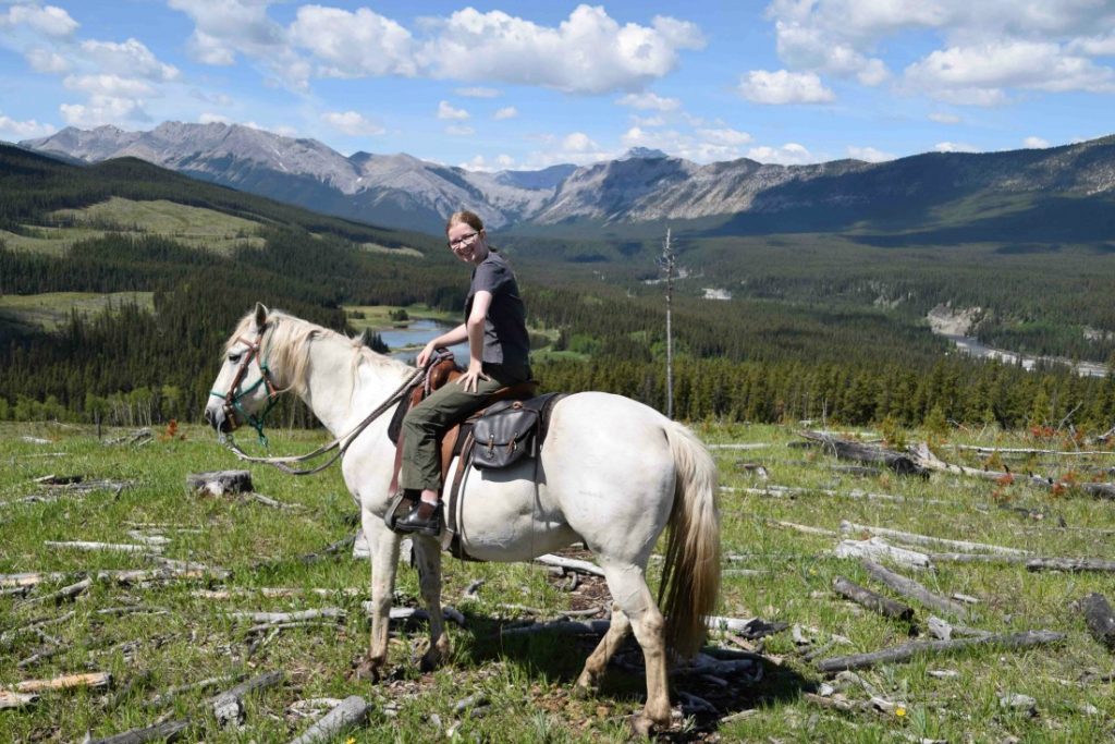 things to do in sundre