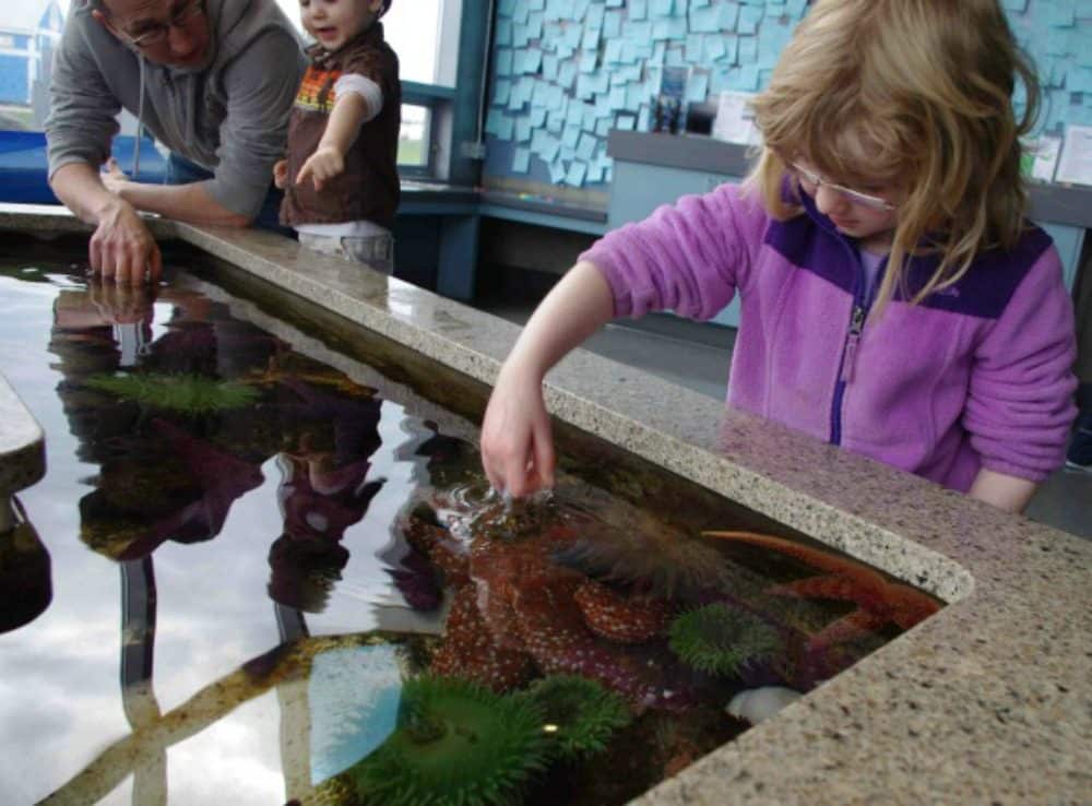 shaw centre for the salish sea