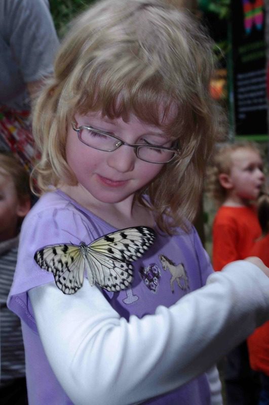 Butterfly gardens victoria