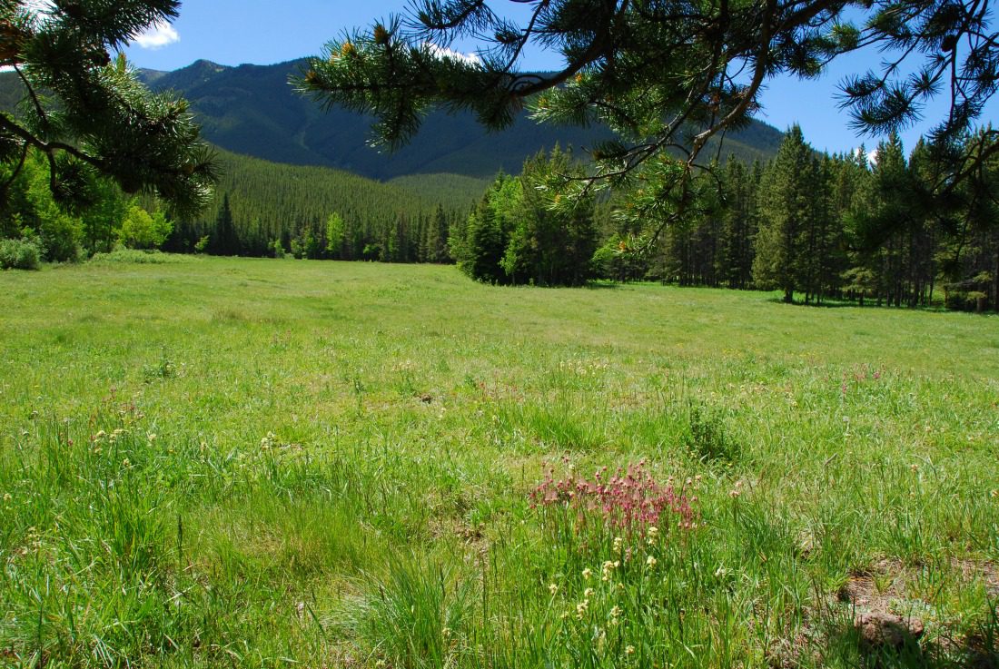 day use area at Cataract Creek alberta