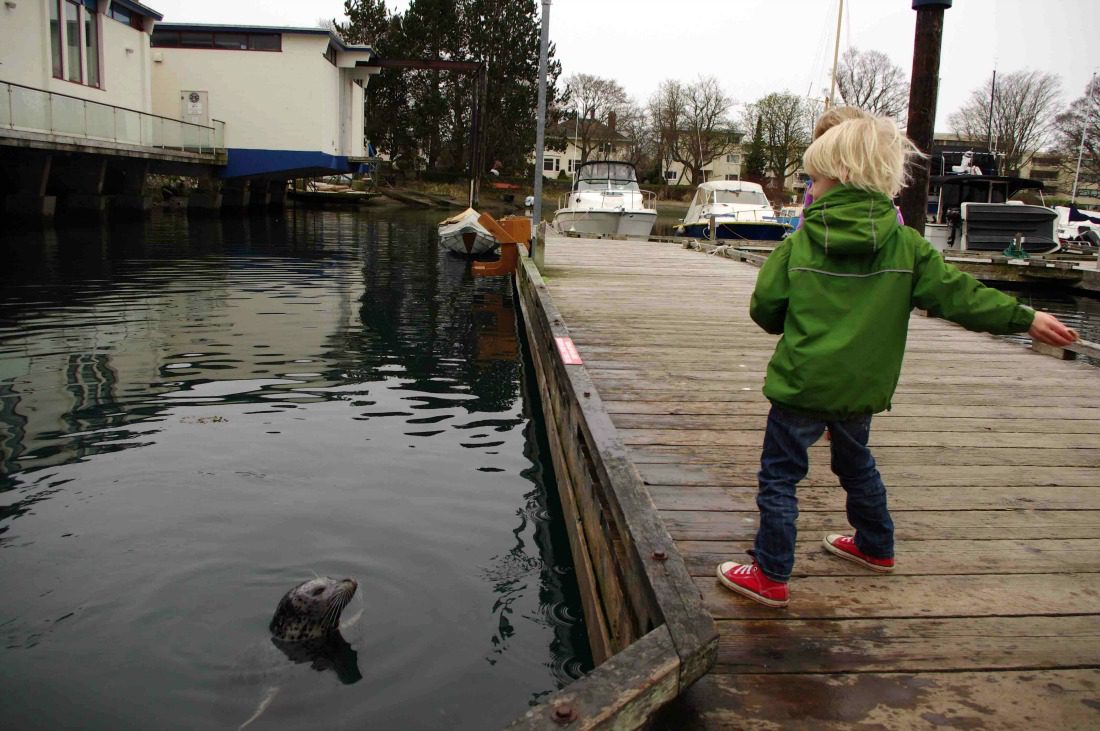 Visiting Vancouver Island? Check out fun things to do in Victoria with kids
