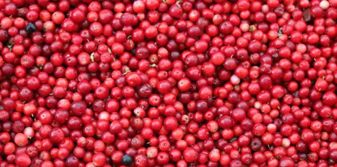 Canadian Cranberries