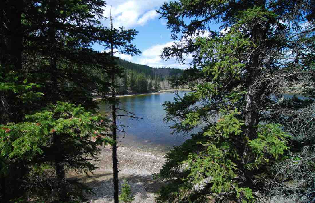 sibbald_lake_beach