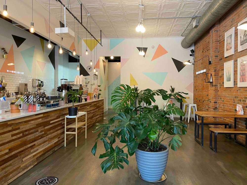 lethbridge coffeeshop