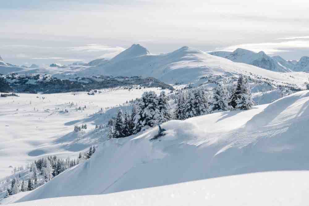 Sunshine Village terrain