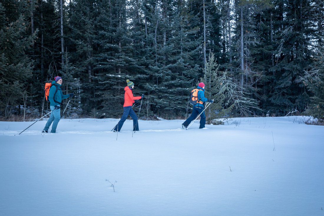cross country ski group