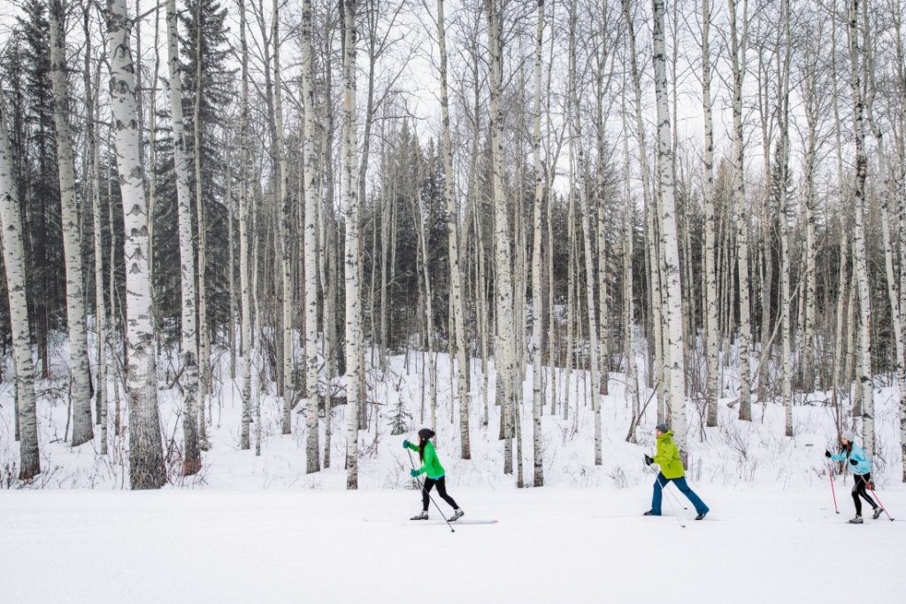 calgary skiing