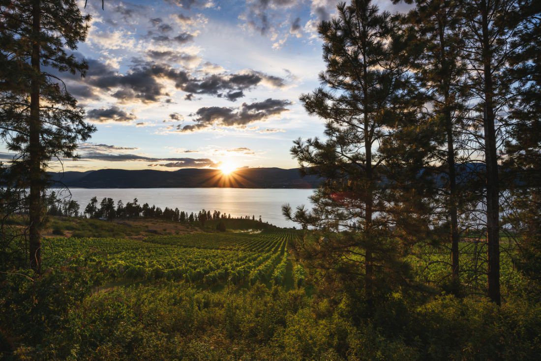 winery lake okanagan