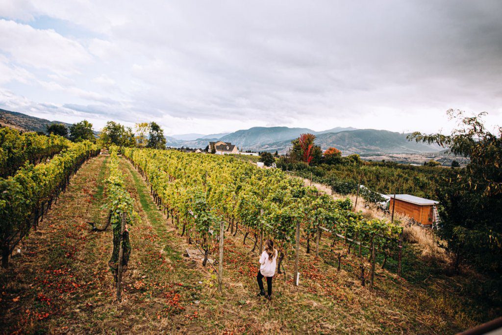 Penticton Wine Tours