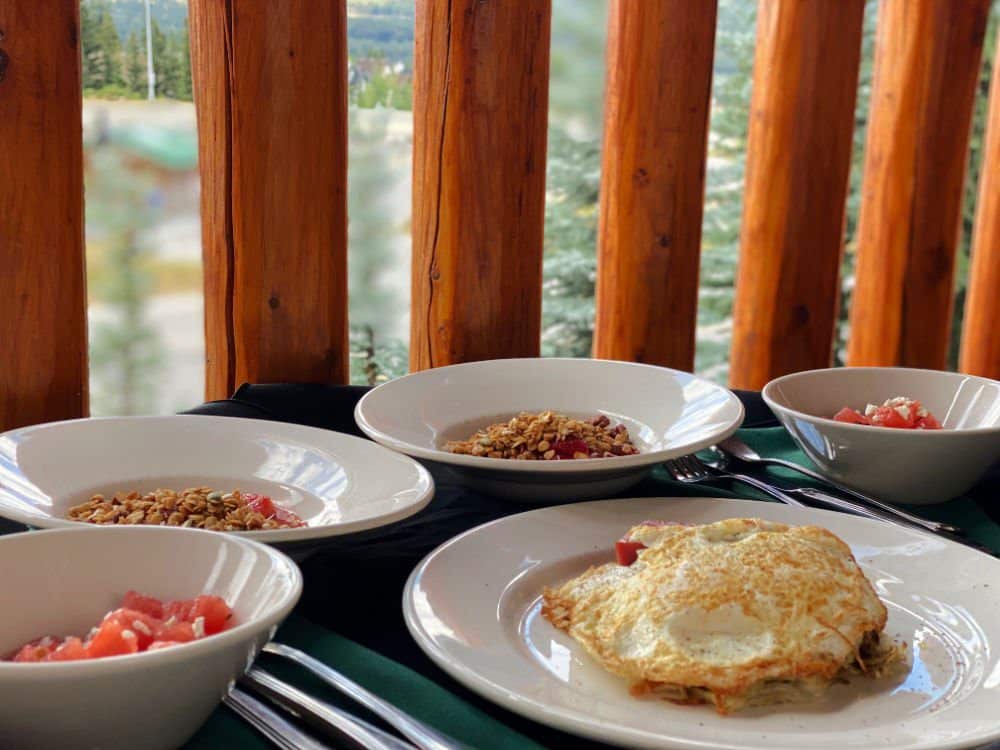 A bear and bison breakfast