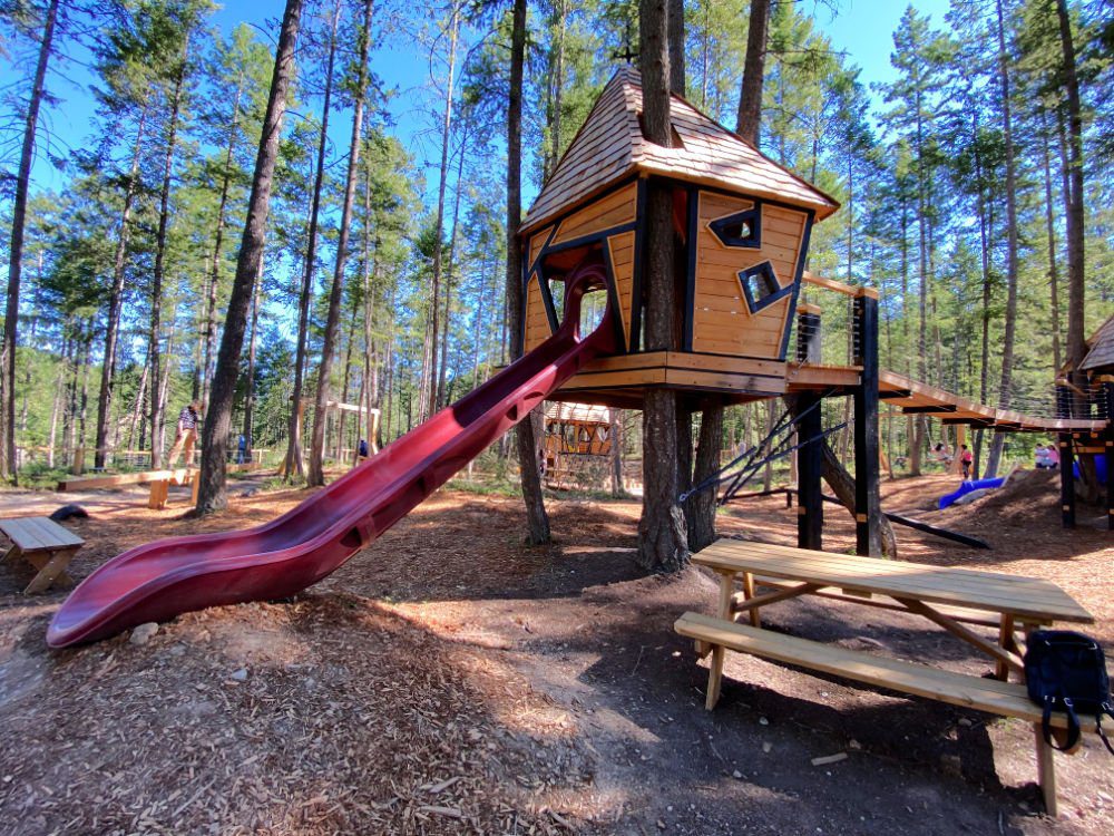 Golden skybridge playground